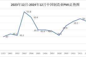 2024年12月份制造业PMI为50.1%